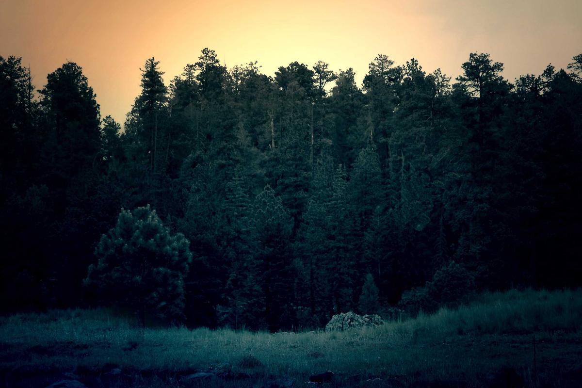 Snapshot 3 from a previous edition